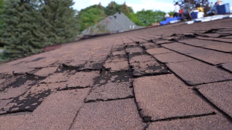 Best Rubber Roofing (EPDM, TPO)  in , MA