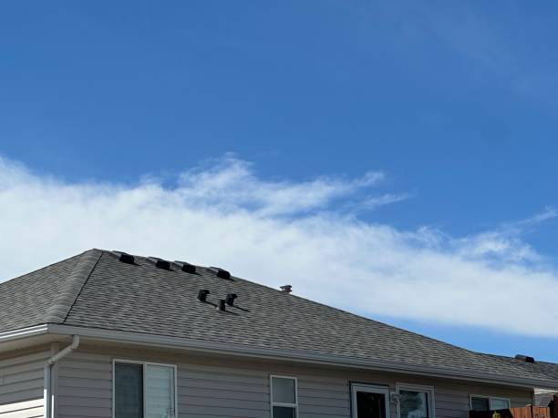 Best Asphalt Shingle Roofing  in , MA